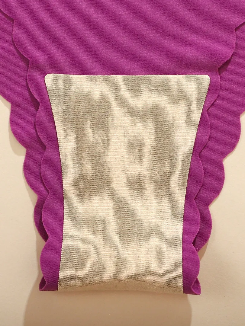 Conjunto com 10 Calcinhas Femininas Estilo Bikini com Estampa Floral e Borda Ondulada, Confortáveis e Sexys — foto 5